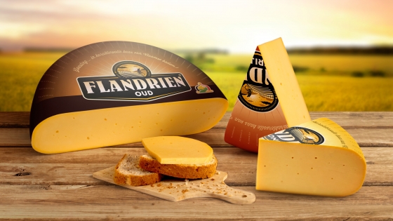 Flandrien kaas
